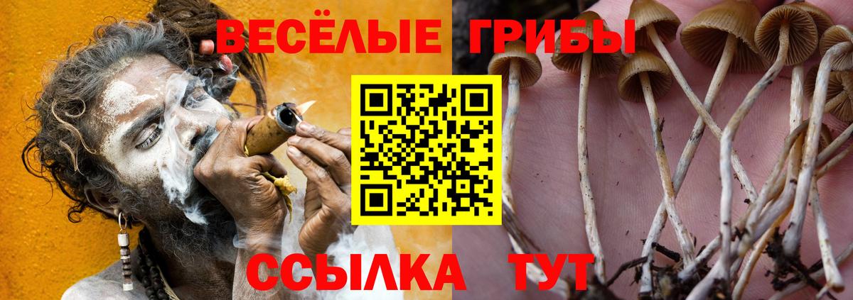 Галлюциногенные грибы мухоморы  Псилоцибиновые грибы GOLDEN TEACHER  Хабаровск  Вход с VPN 